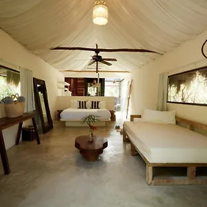 Roc Jungle México